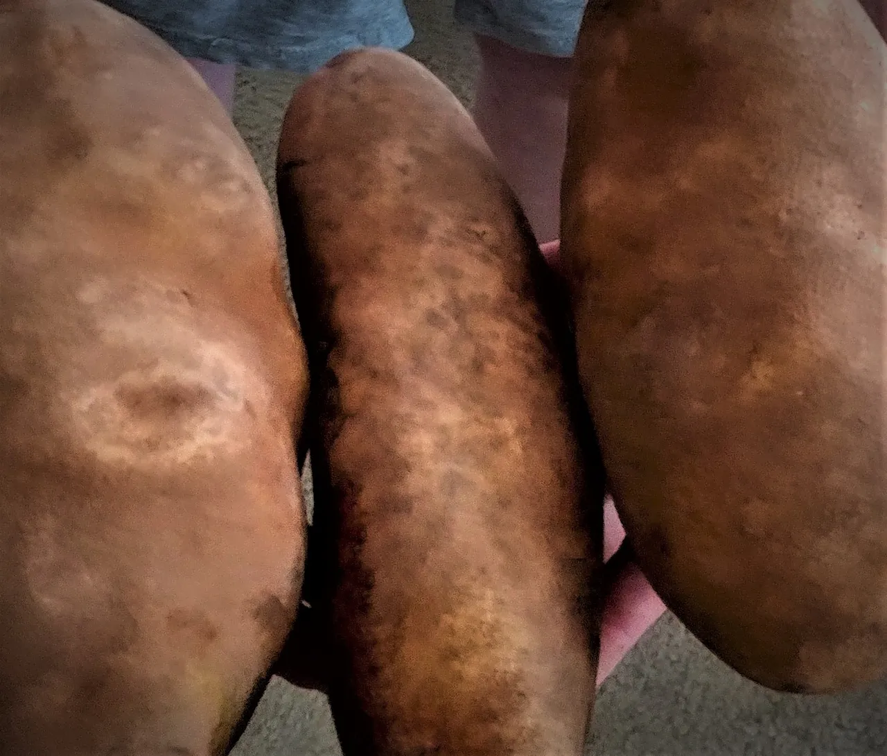 sublimespud11-24-19-3ok2.jpg