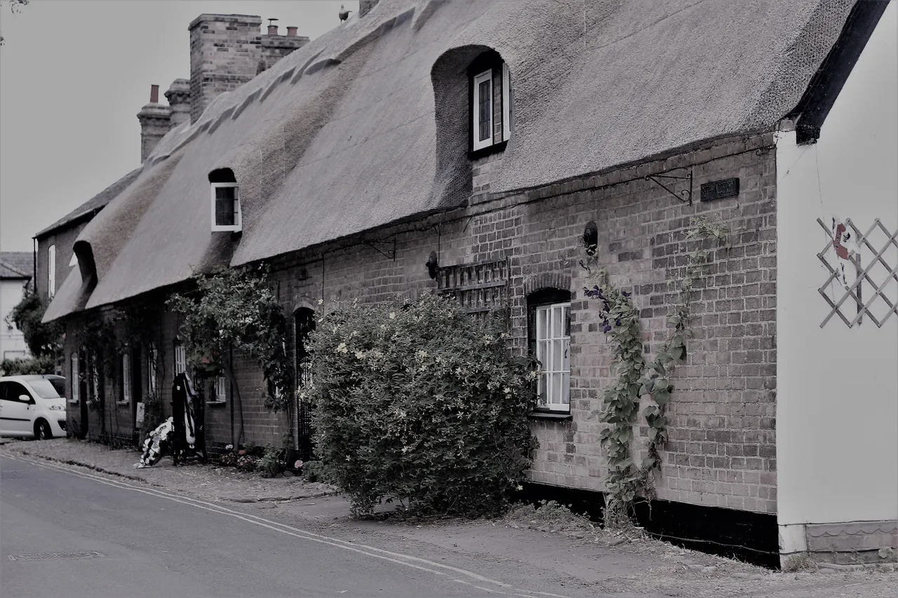 thatched cottage b&w.jpg