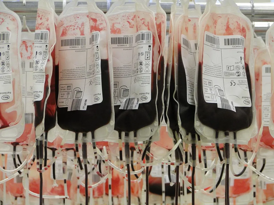 blood-bags-91170_960_720.jpg