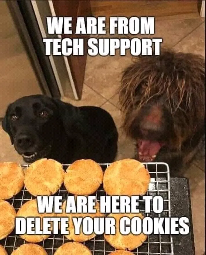 FB_IMG_15538590428878002.jpg