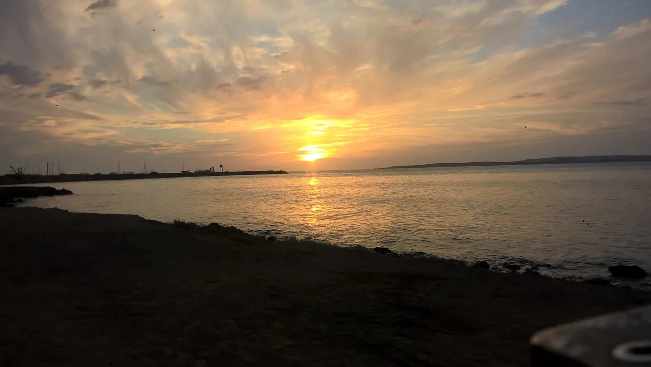 WP_20190601_18_27_49_Pro.jpg