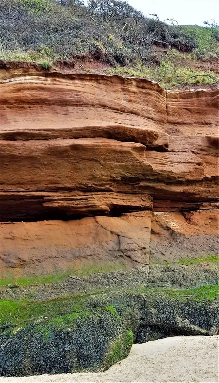 20181125_131125 (Copy).jpg