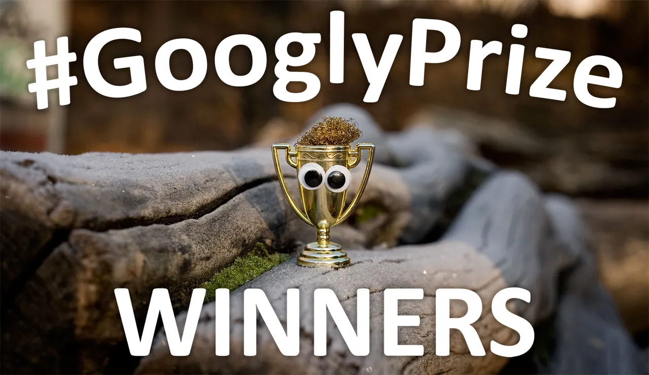 GooglyPrize GooglyEyes TitleImage Vol70