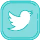 Twitter - Tesmoforia.png