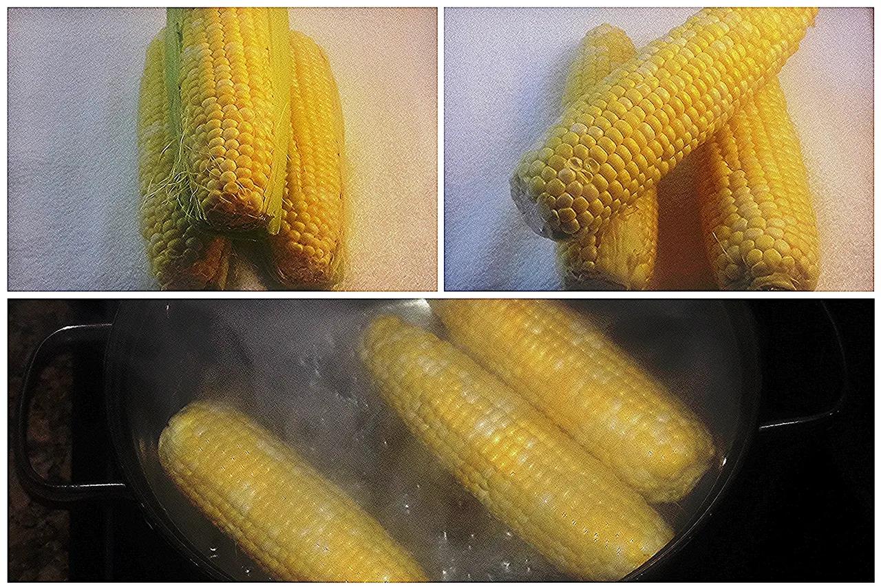 corn cooking collage.jpg