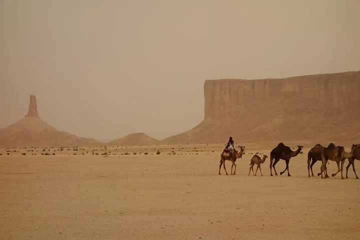 camel-train-3408458__480.jpg