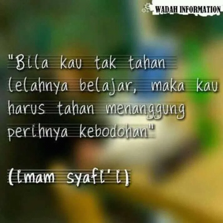 FB_IMG_15309225358806356.jpg