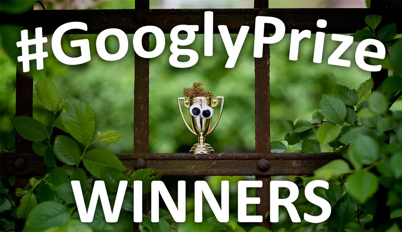 GooglyPrize GooglyEyes TitleImage Vol84
