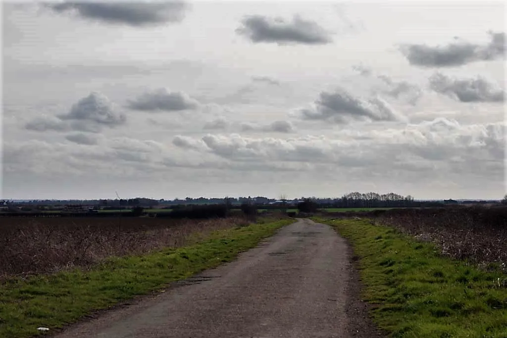 long road to where.jpg