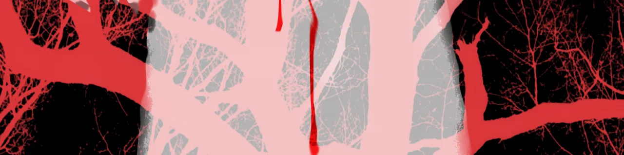 monaca sanguinante 6.jpg