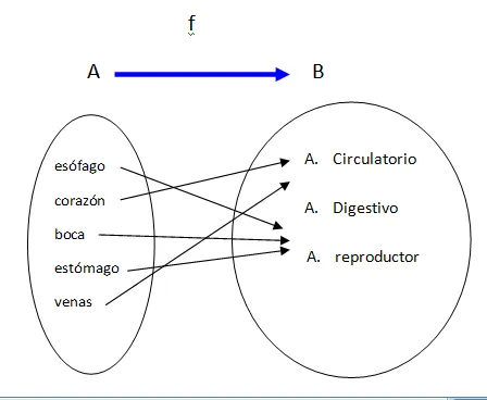 ejemplo de funciones.PNG