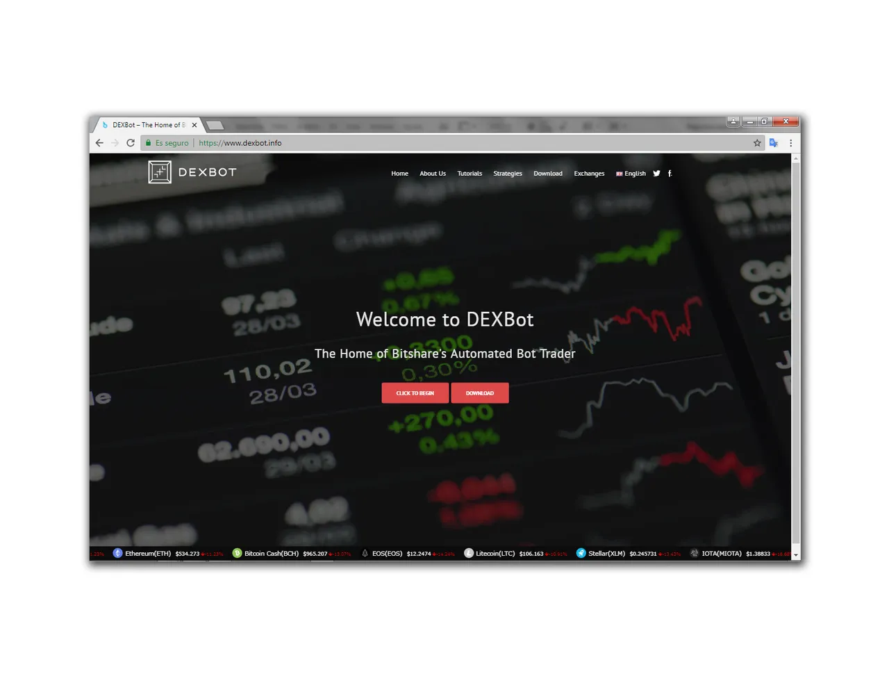 mockup logo on web.jpg
