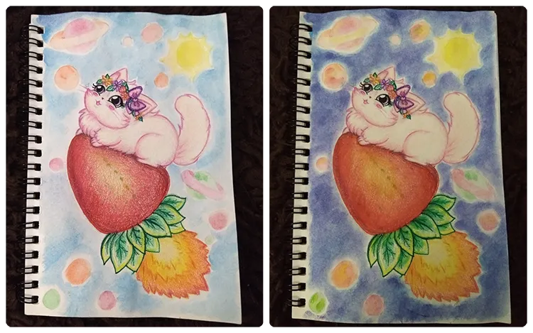 Untitled collage (3).png