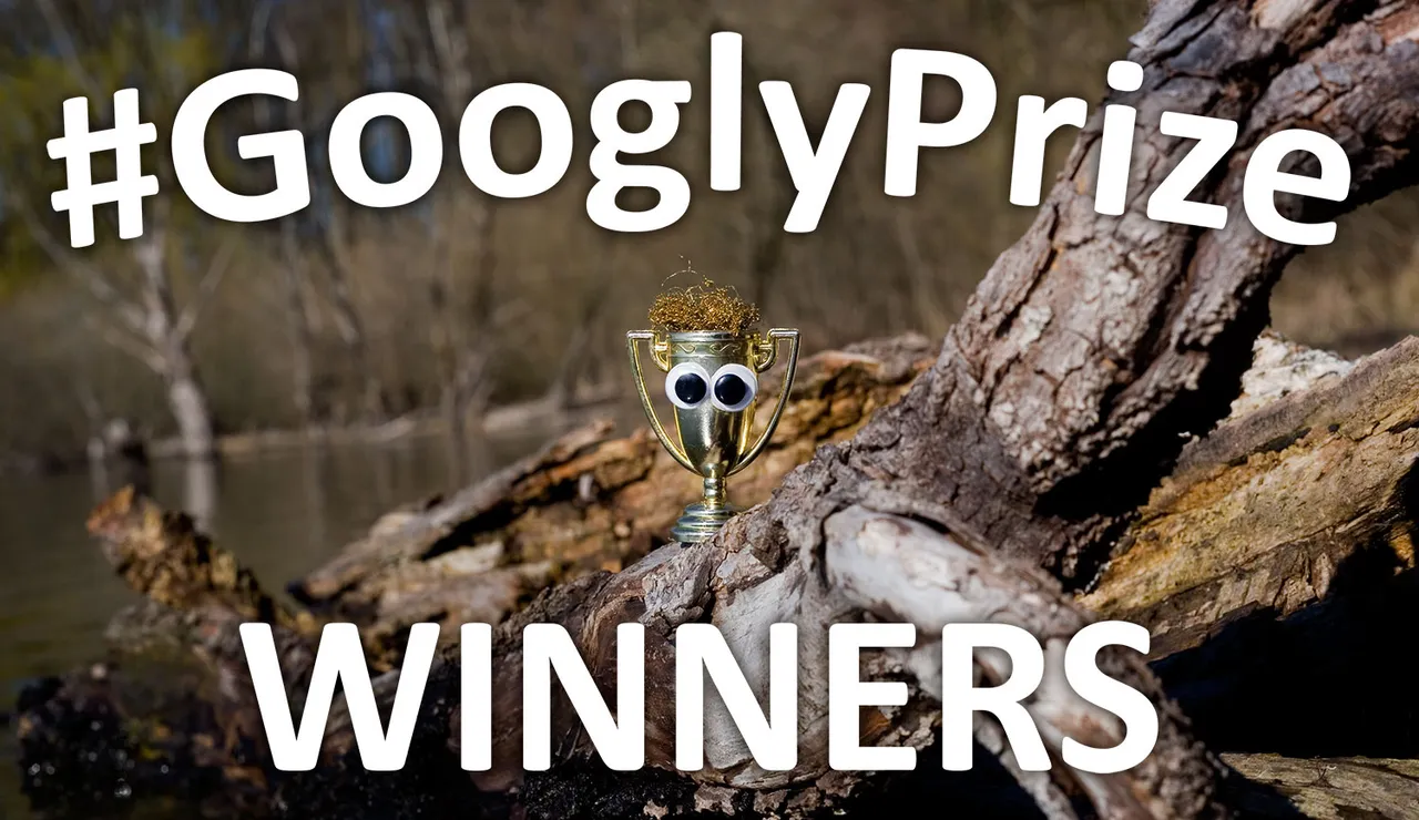 GooglyPrize GooglyEyes TitleImage Vol79