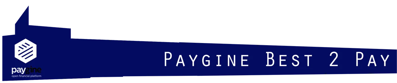 paygine Best 2 pay.png