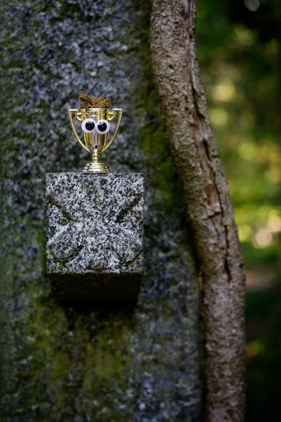 GooglyPrize GooglyEyes bonus image 94