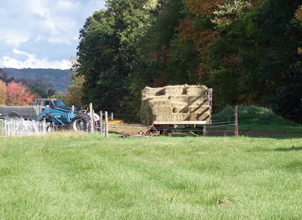 Wagon of mulch hay crop Oct. 2020.jpg