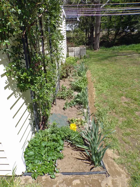 East Shed  weeded1 crop May 2020.jpg