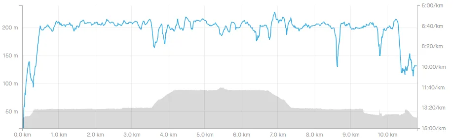 screenshotwww.strava.com2020.05.2021_42_40.png