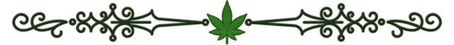 CS_GREEN_CANNACURATE_DIVIDER_TRANSPARENT.png