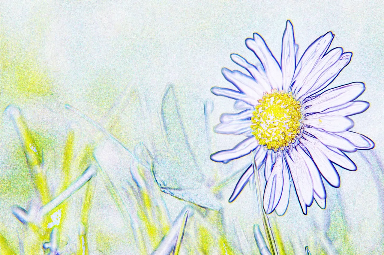 08May13_930_color_pencil_leveled_1600.JPG