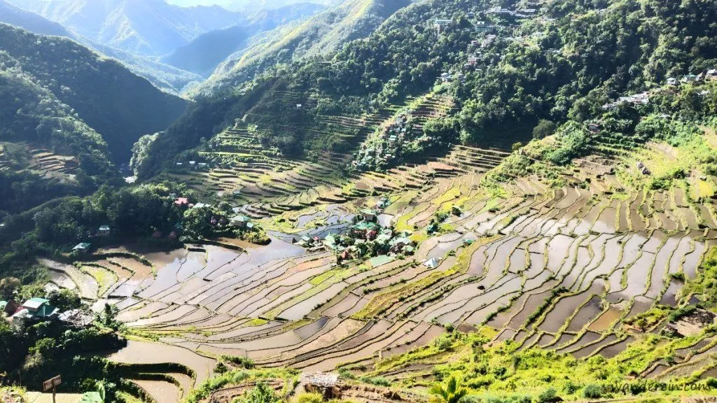 Batad Rice Terraces