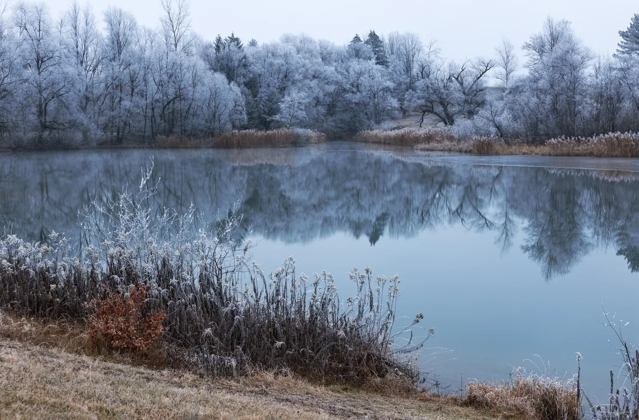 Frosty lake - peaceful and quiet