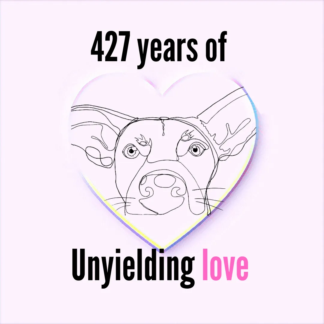 427 years of unyielding love