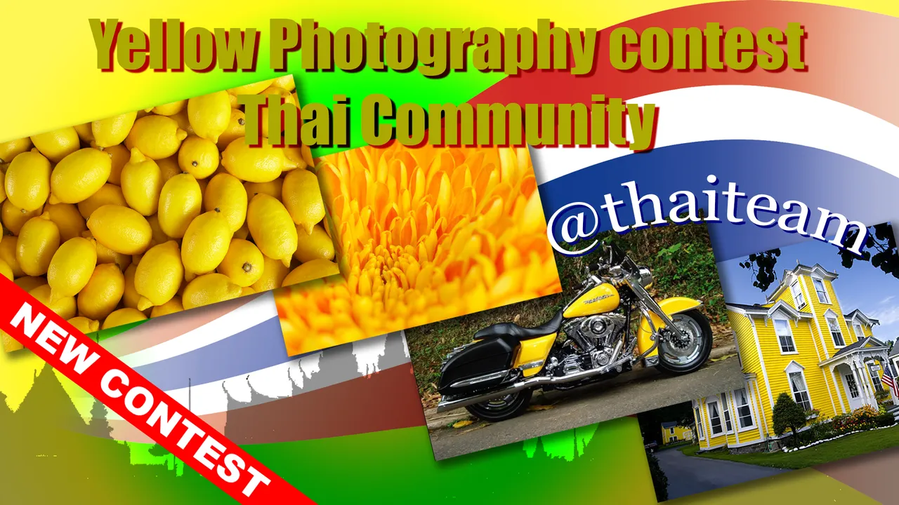 yellow_photography_contest_2.png