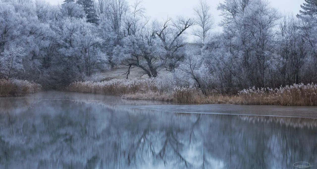 Frosty lake - peaceful and quiet