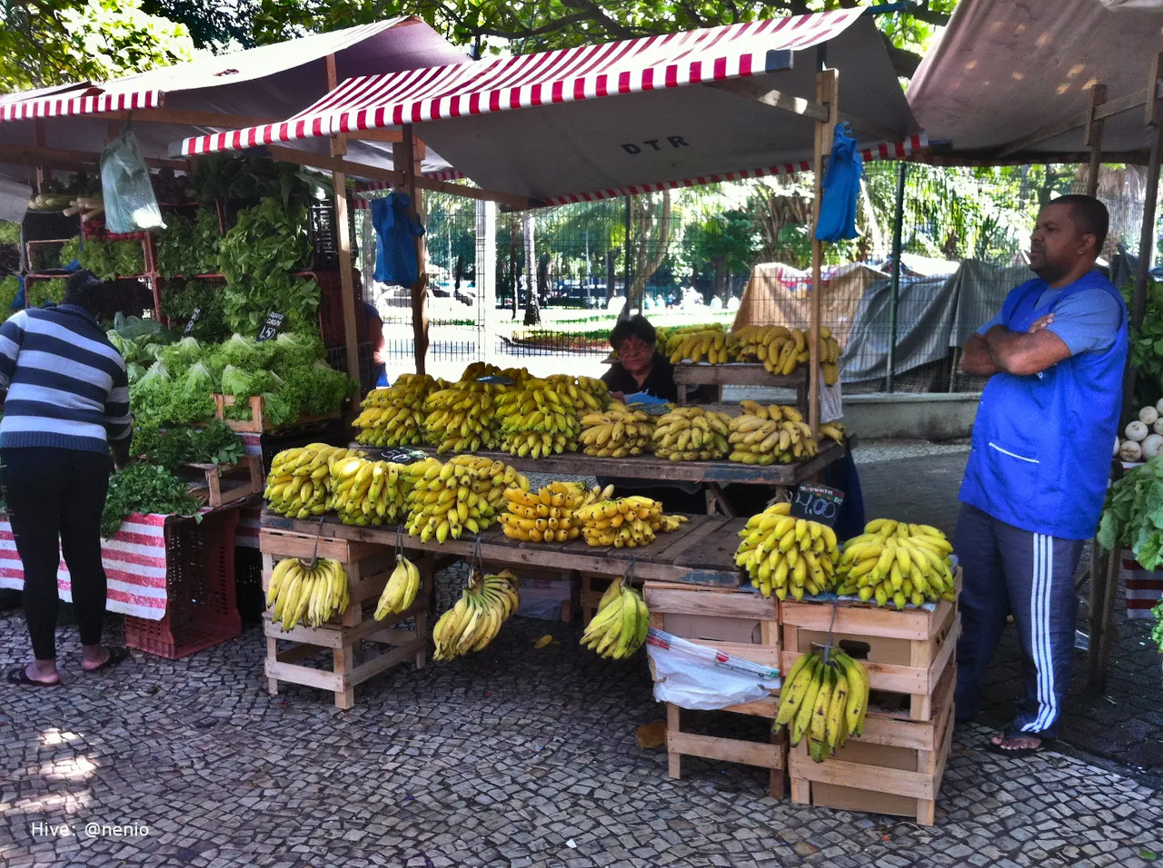 rio-janeiro-street-market-002.jpg