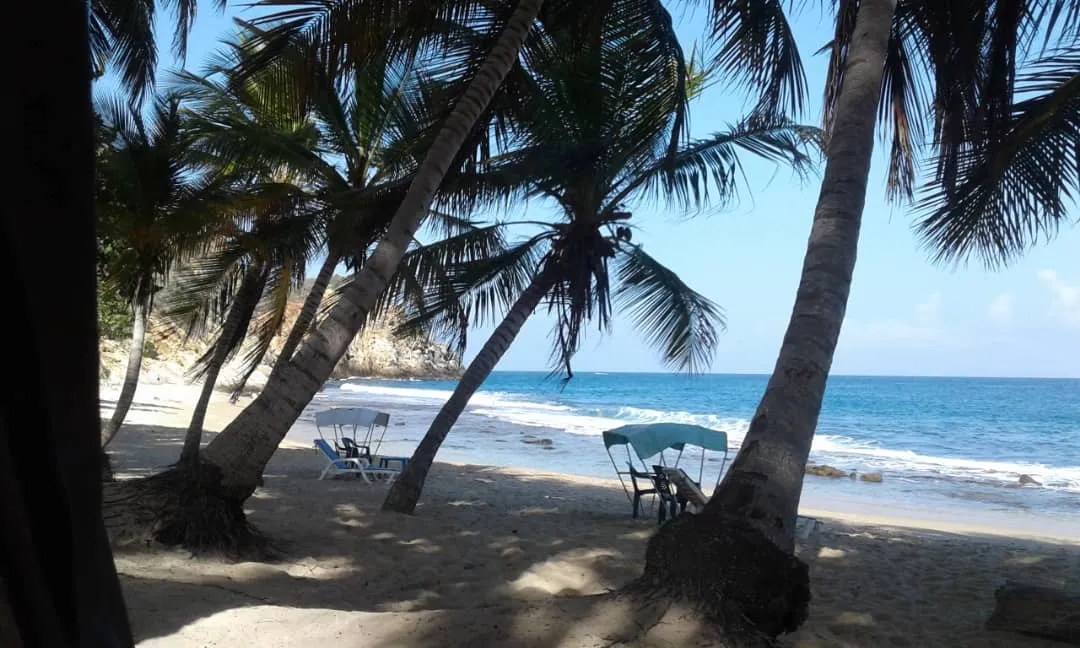 Foto de Playa de Cepe.jpg