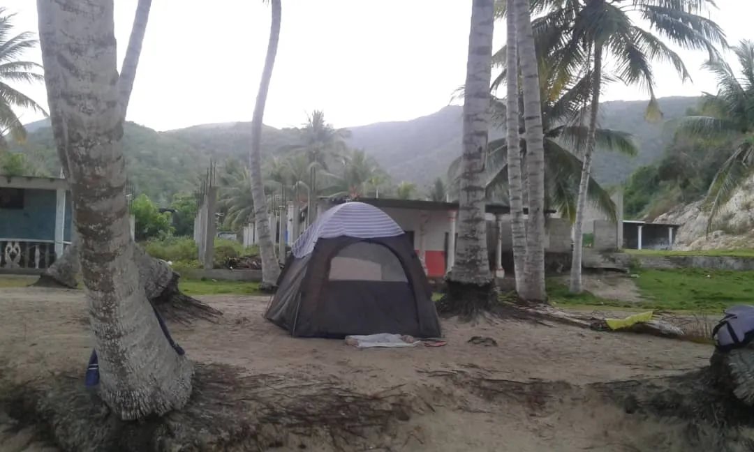 Foto de Carpa en Cepe.jpg