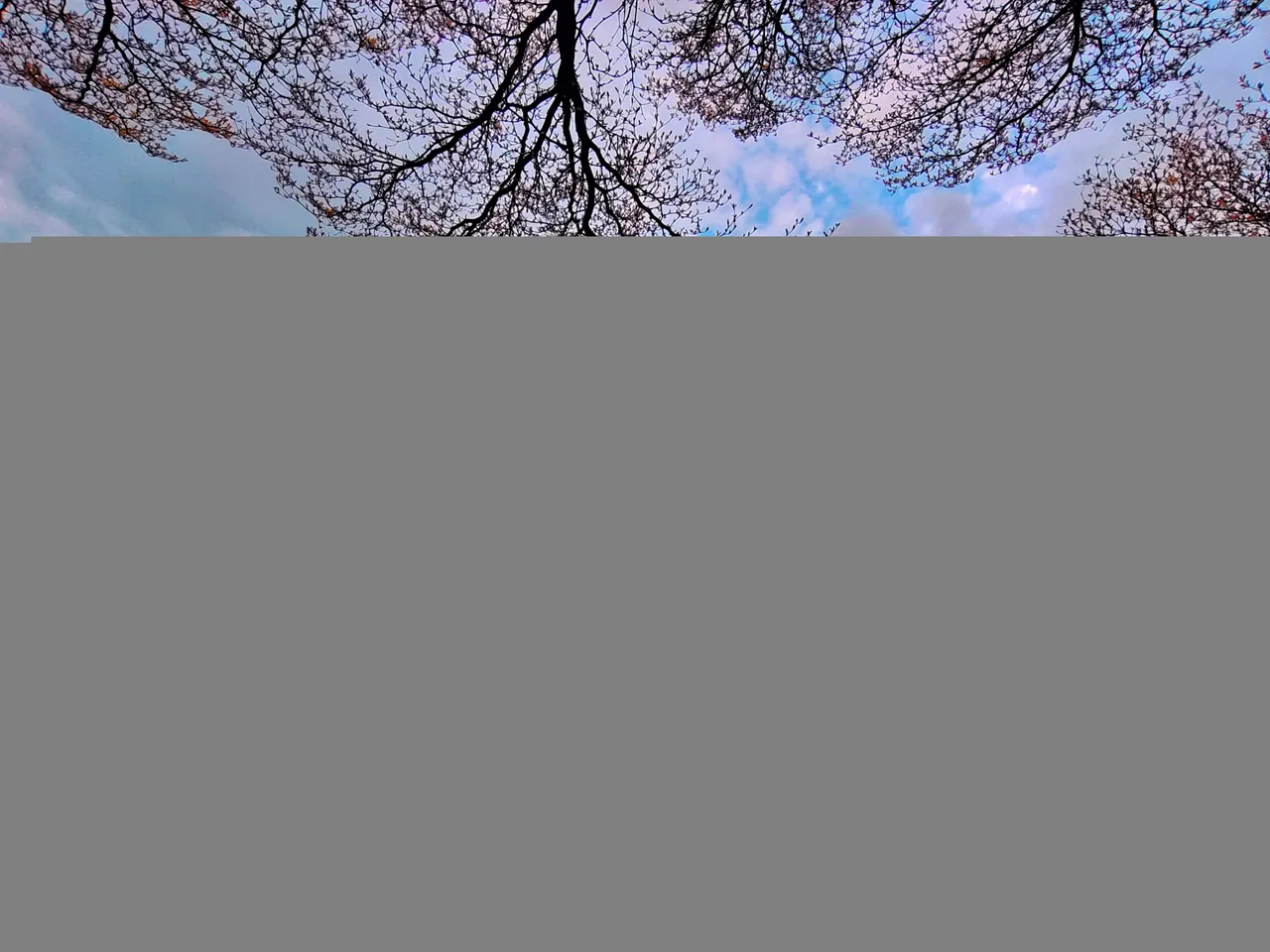 Picsart_22-03-22_09-41-31-786.jpg