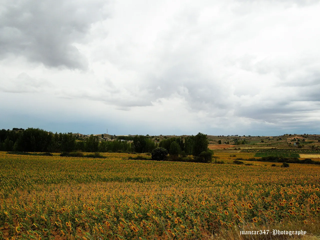 Silos-5 agosto 2012 677.jpg