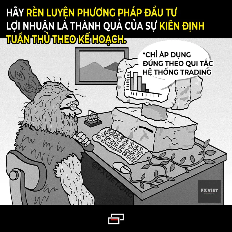 chi-ap-dung-theo-dung-qui-tac.png