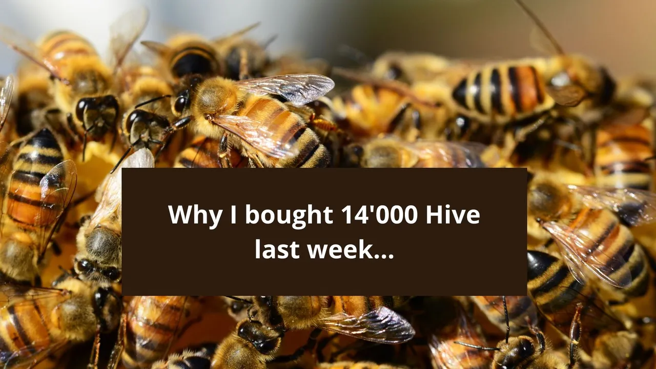 why I bought 14k hive.jpg