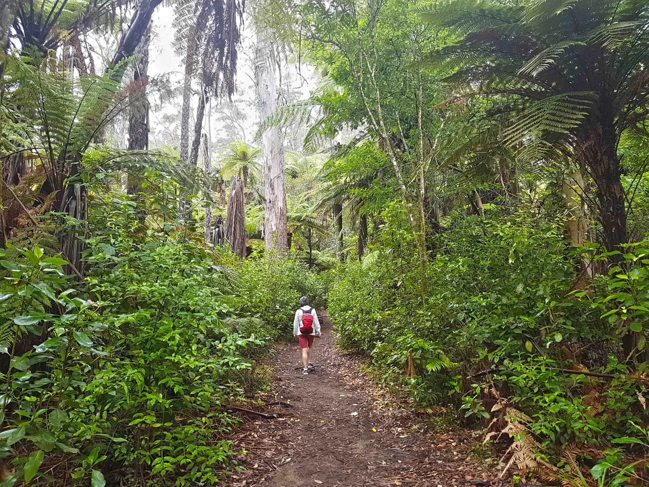 Hike at your own pace away from electronic devices