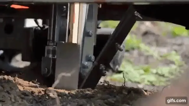 TreeRover.mp4