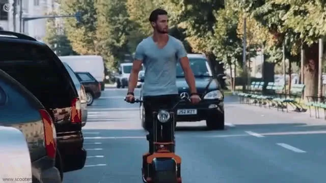 rolley2 22.mp4