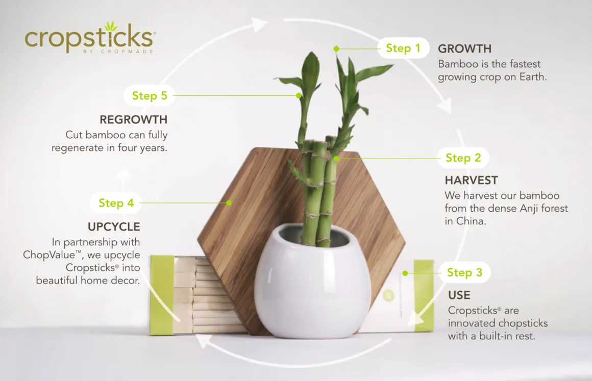 cropsticks_steps.png