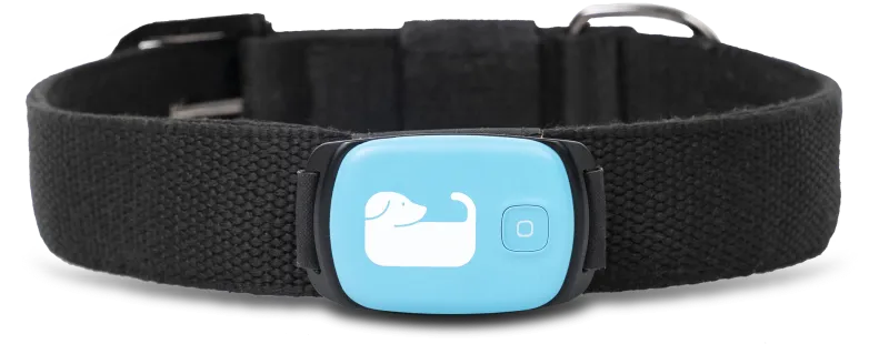 device-image-new.png
