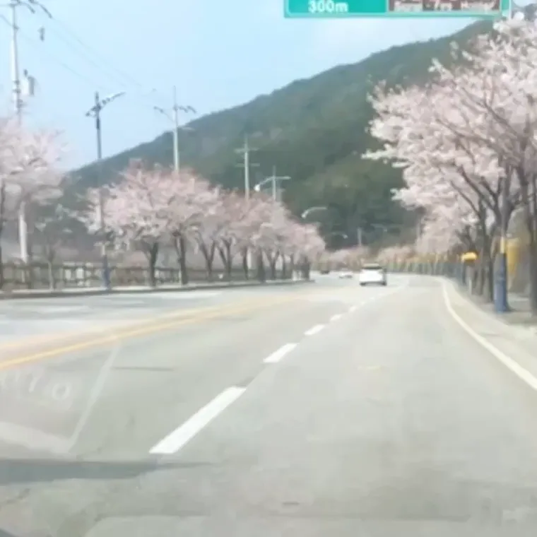 videos/3c265808380a8f15ccfbc09dbd964467-00001.png