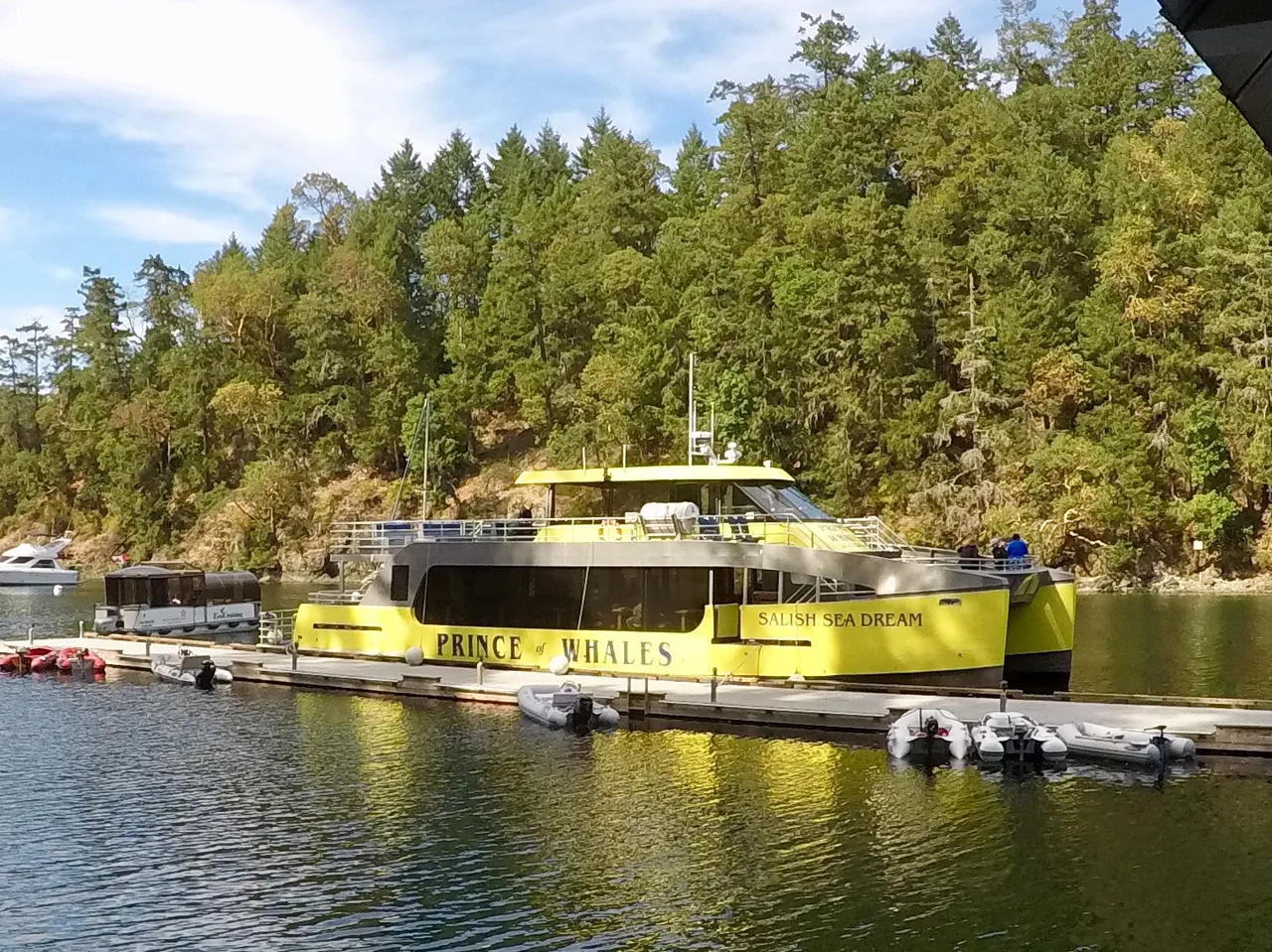 https://s3.us-east-2.amazonaws.com/partiko.io/img/d00k13-word-of-the-day-fear--tour-boat-1532364242697.png