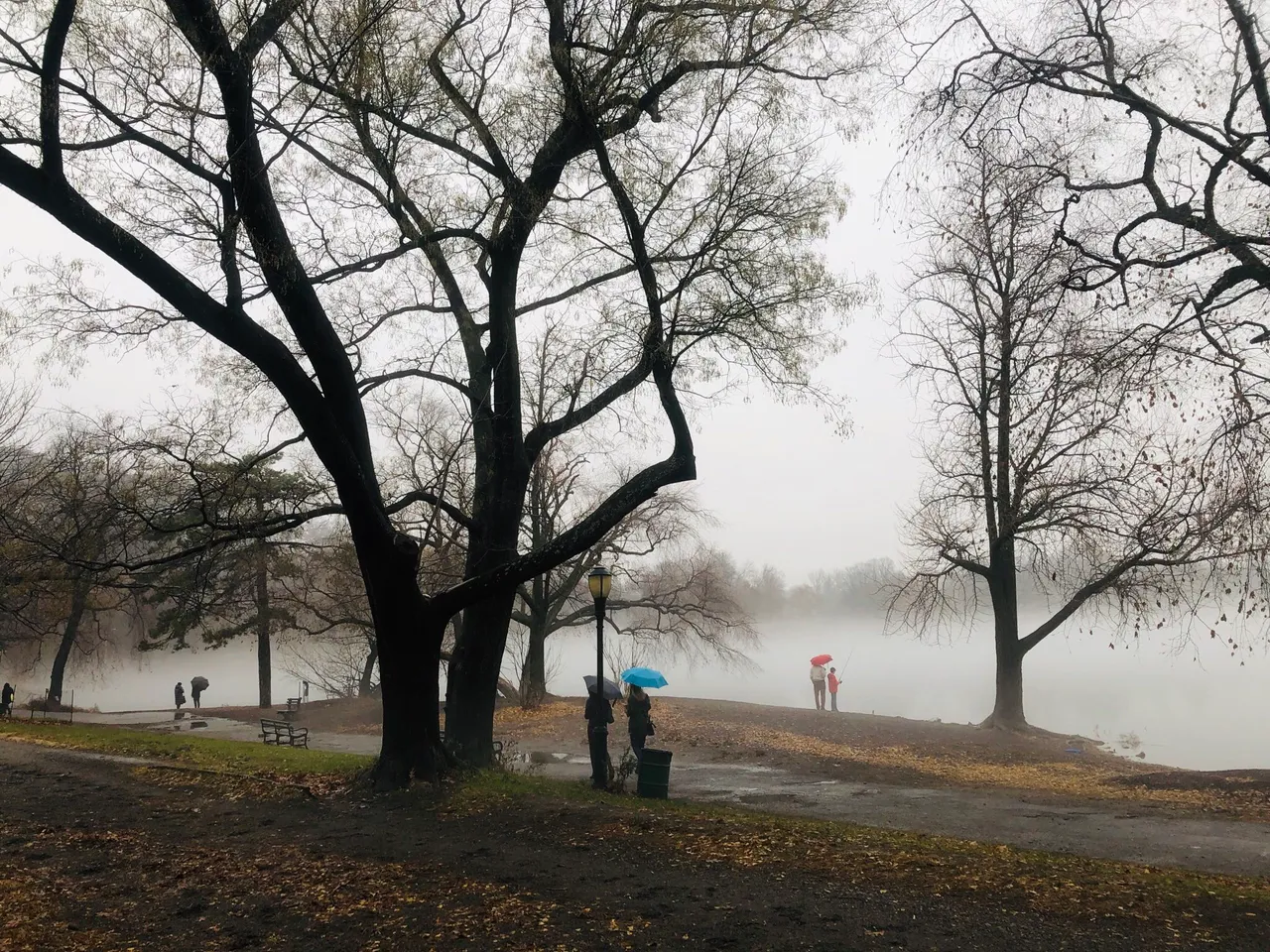 https://s3.us-east-2.amazonaws.com/partiko.io/img/meshuga-foggy-day-in-brooklyn-bhhov3gy-1543811470196.png