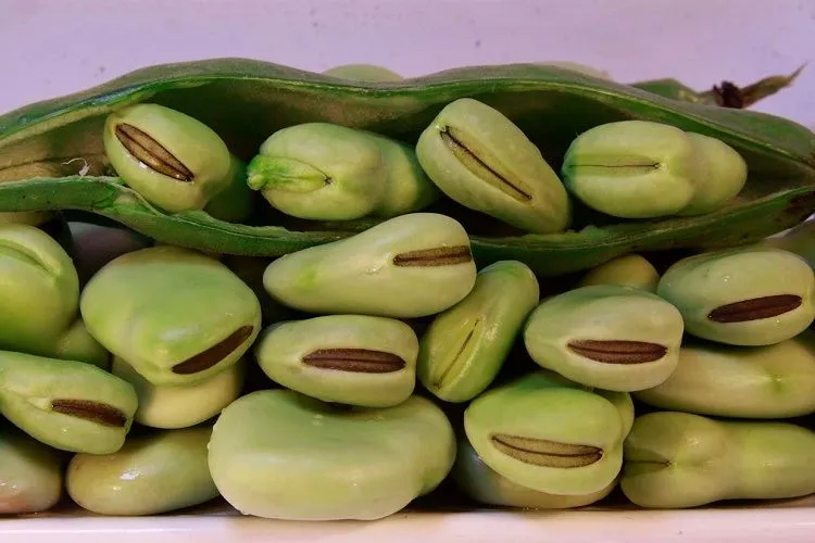 Taking-A-Lot-Of-Soy-Products.jpg