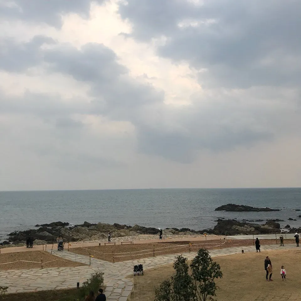 KakaoTalk_20171203_022033080.jpg