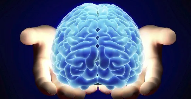 mw-630-ibm-brain-chip-istock.jpg