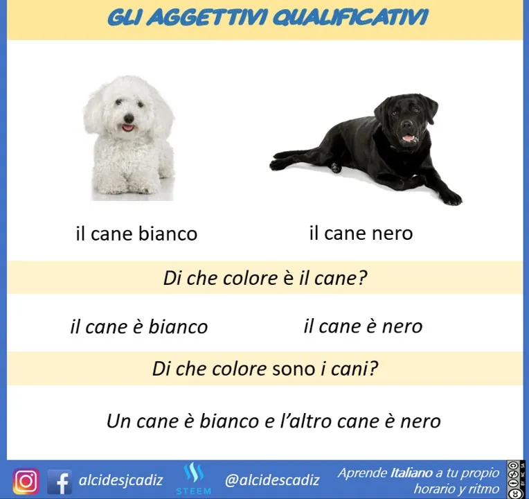MICROLEZIONEJPG058aggetivi05.jpg