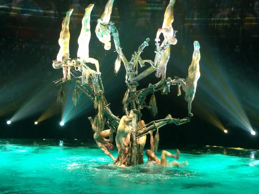 la reve water show 2.jpg